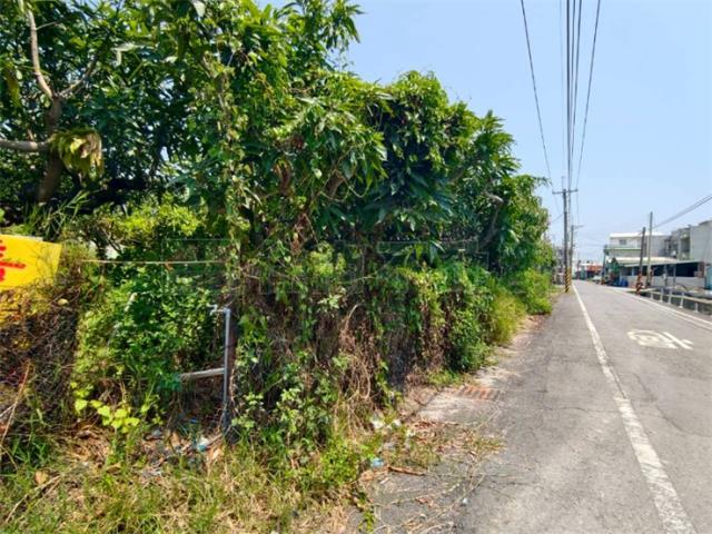 高雄湖內農地-1