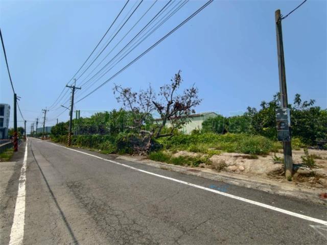 高雄湖內農地-2