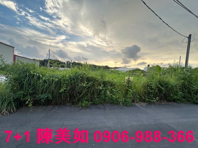 仁武農地-0