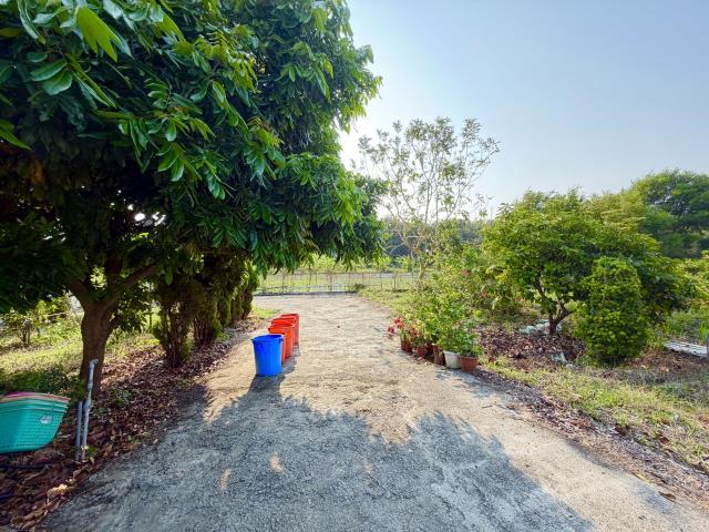 岡山農地-2