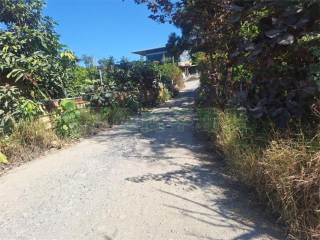 鳥松農地-6